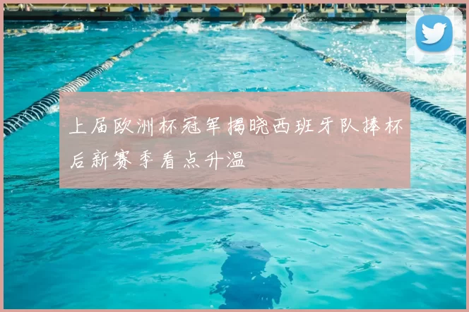 上届欧洲杯冠军揭晓西班牙队捧杯后新赛季看点升温