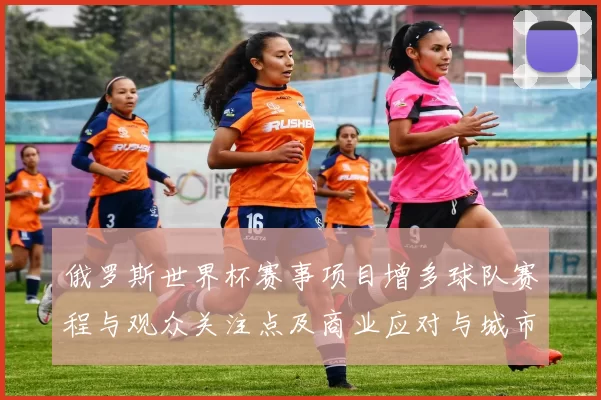 俄罗斯世界杯赛事项目增多球队赛程与观众关注点及商业应对与城市经济影响