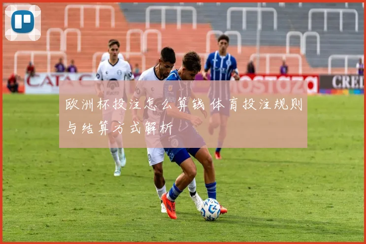 欧洲杯投注怎么算钱 体育投注规则与结算方式解析