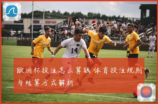 欧洲杯投注怎么算钱 体育投注规则与结算方式解析