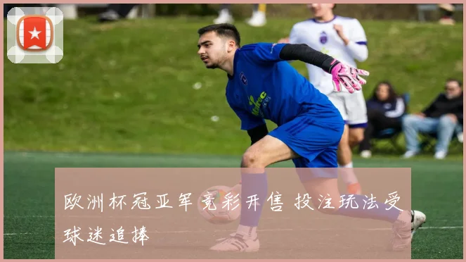 欧洲杯冠亚军竞彩开售 投注玩法受球迷追捧
