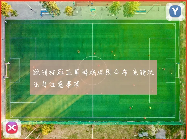欧洲杯冠亚军游戏规则公布 竞猜玩法与注意事项